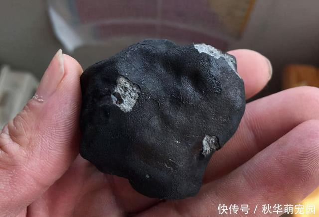 火星 玉树陨石坠地那一刻,有一群人已经挎上背包,开启他们寻宝之旅