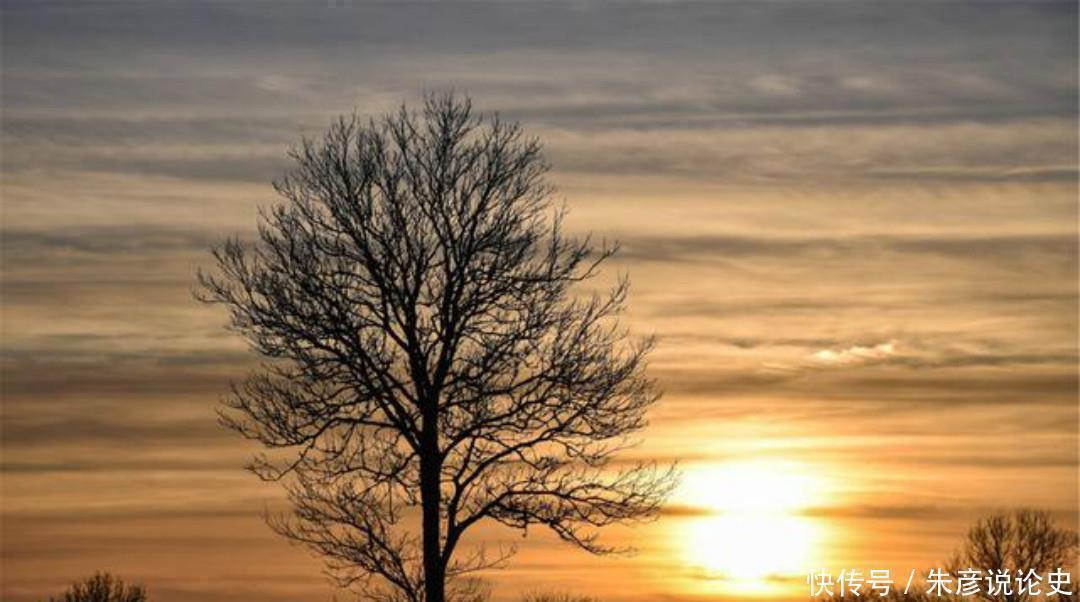 故乡|孤独的诗人写下一首思乡之作，无一字不伤感，无一字不忧愁