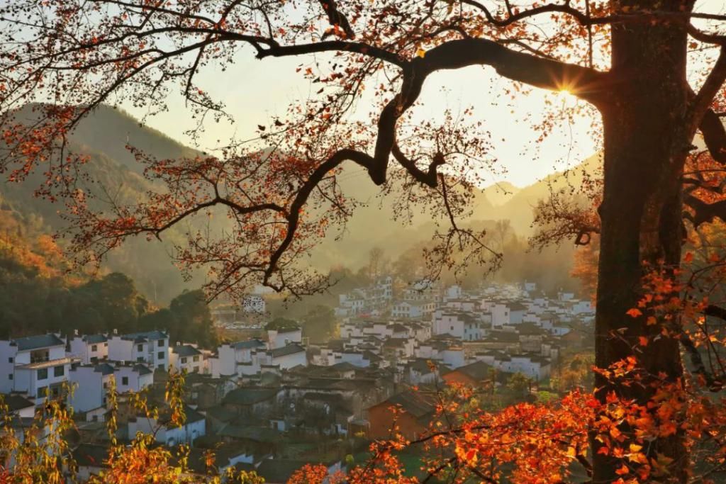 徽州|夏天成了故事 秋天已成风景 秋色徽州等你来