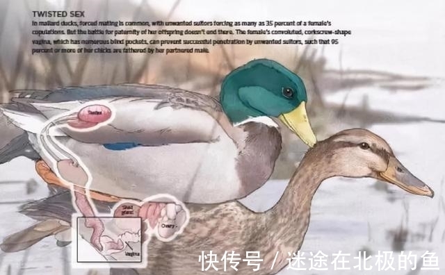 诞生#完美契合!世界上第一对男女如何诞生,为何生理、性格相互适应?