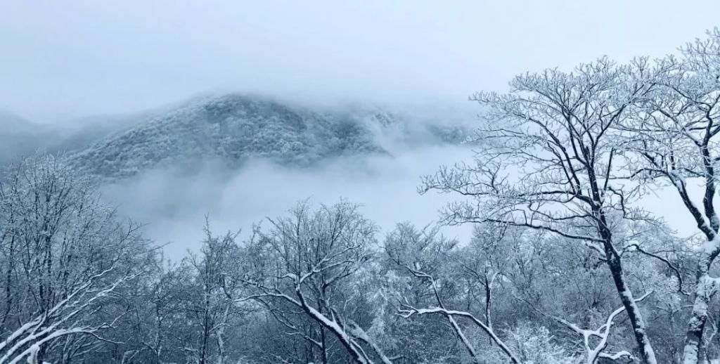 县区|初雪！周边县区雪景美图来袭！