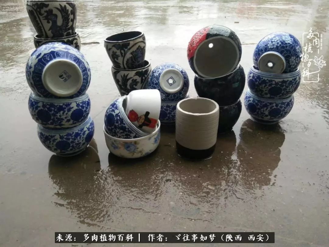 愿你付出甘之如饴,愿你所得归于欢喜!