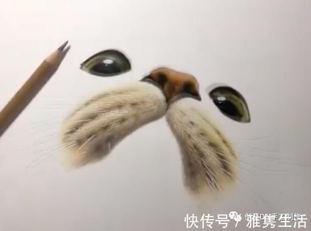 音海#超拟真动物画,每根毛发都这么细致,网友惊呼真假分不清