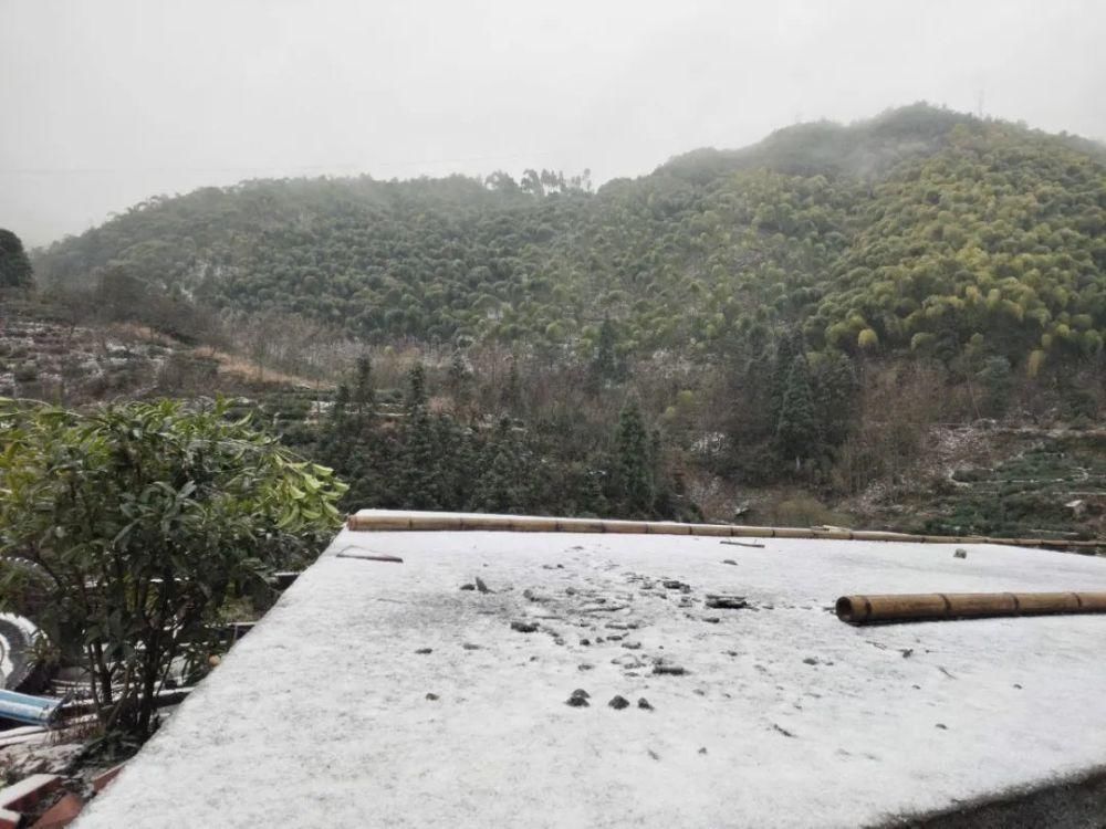 雪景|丽水这些地方下雪了，美炸了~最新雪景美图，请签收