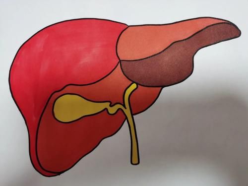 男性|男人开始衰老时，身体会出现这4个明显变化，若你有，该保养了