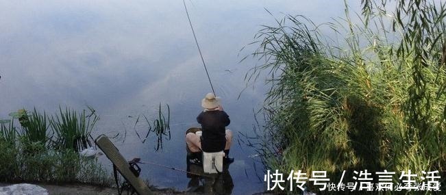 面食|夏季三伏天钓鱼怎么钓钓鱼高手给你支个招，提高中鱼率！