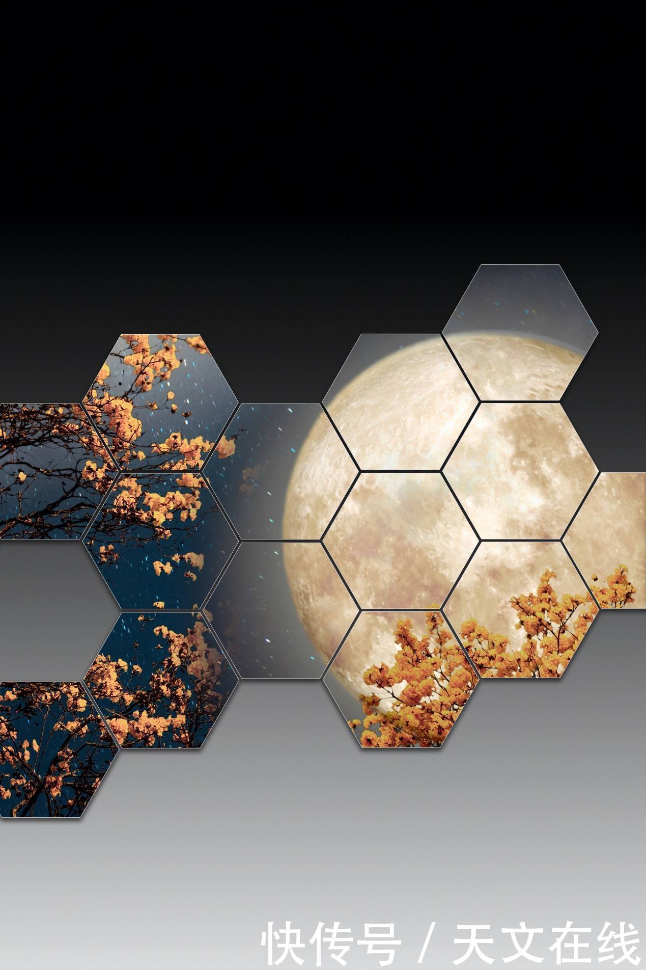 NASA选出两项太阳物理学任务进行概念研究