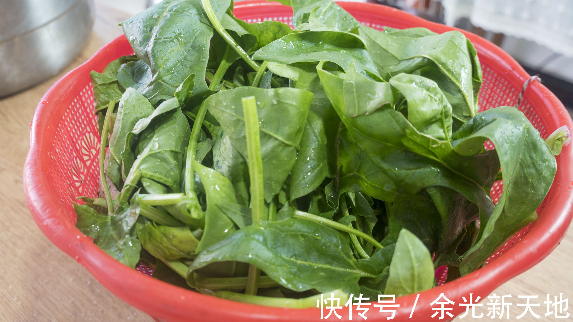 早餐|7天早餐不重样,粗细粮搭配合理,好做又好吃,照着做简单省事