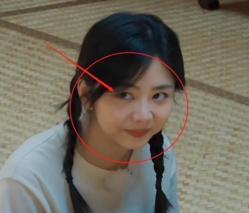 扎心|任嘉伦上《向往》变身“怼王”,句句扎心谭松韵,气得她成表情包