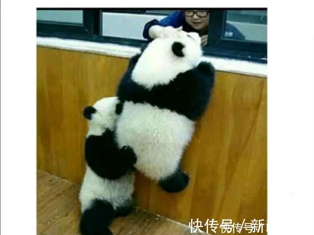 |搞笑趣图:妖精与妖怪的区别是什么?一张图告诉你