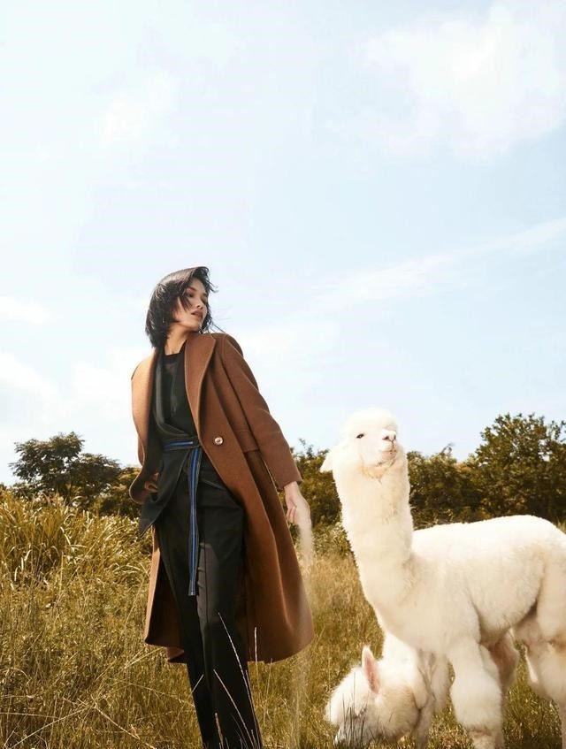 羊驼绒 这件羊驼绒大衣,比拥抱更暖!