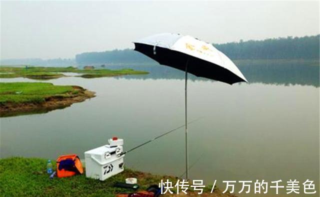 钓位|三伏天钓不到鱼?是时候调整钓法了,气温过高要钓“凉爽”