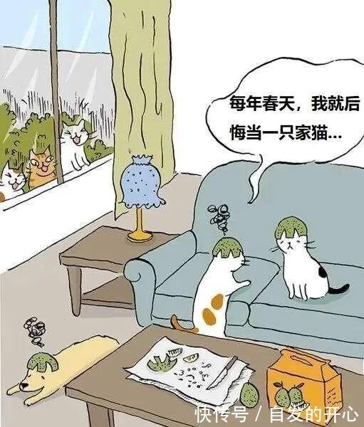 |「被窝段子20220131」生活嘛 慢慢来 所有的好运都在路上