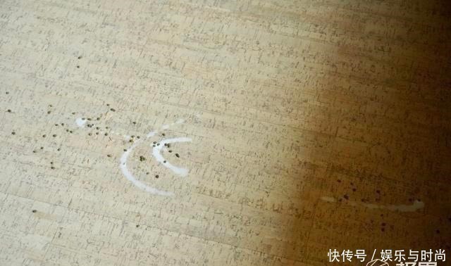 仿生|宝妈爱不释手的神级清洁机,去污除菌一次搞定,小孩再皮也难不倒!