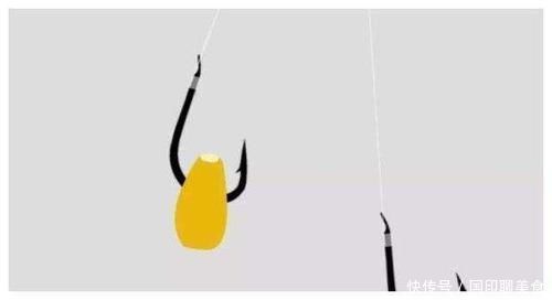 诱饵|玉米钓大物,几个使用小技巧,值得一看