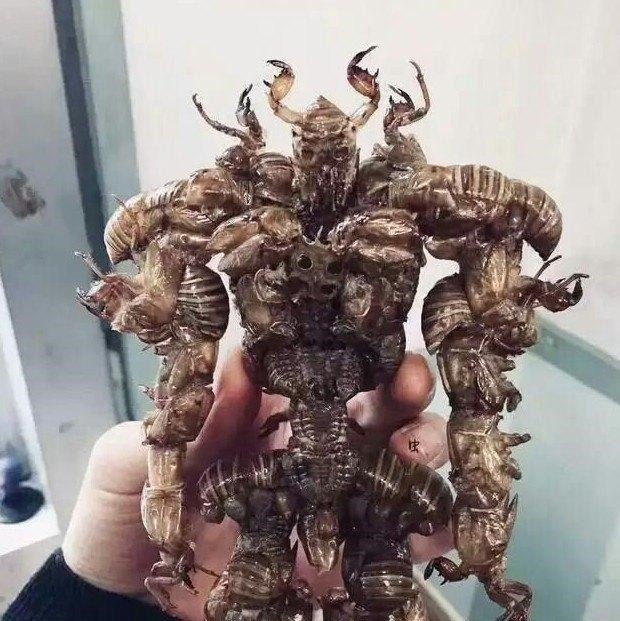 垃圾|大神将垃圾制成精美手办,“变废为宝”的手法太神奇,我看懵了!