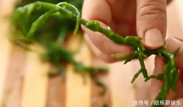 种植|外国人视为高级的蔬菜,在中国种植却少有人知,味道如何