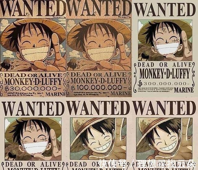 索隆|海贼王草帽团赏金进化史,路飞涨了6次,乔巴的变化没有意义