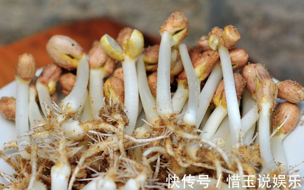 花生|花生新吃法,每周吃4次,营养防癌,延缓衰老,给身体来个大扫除