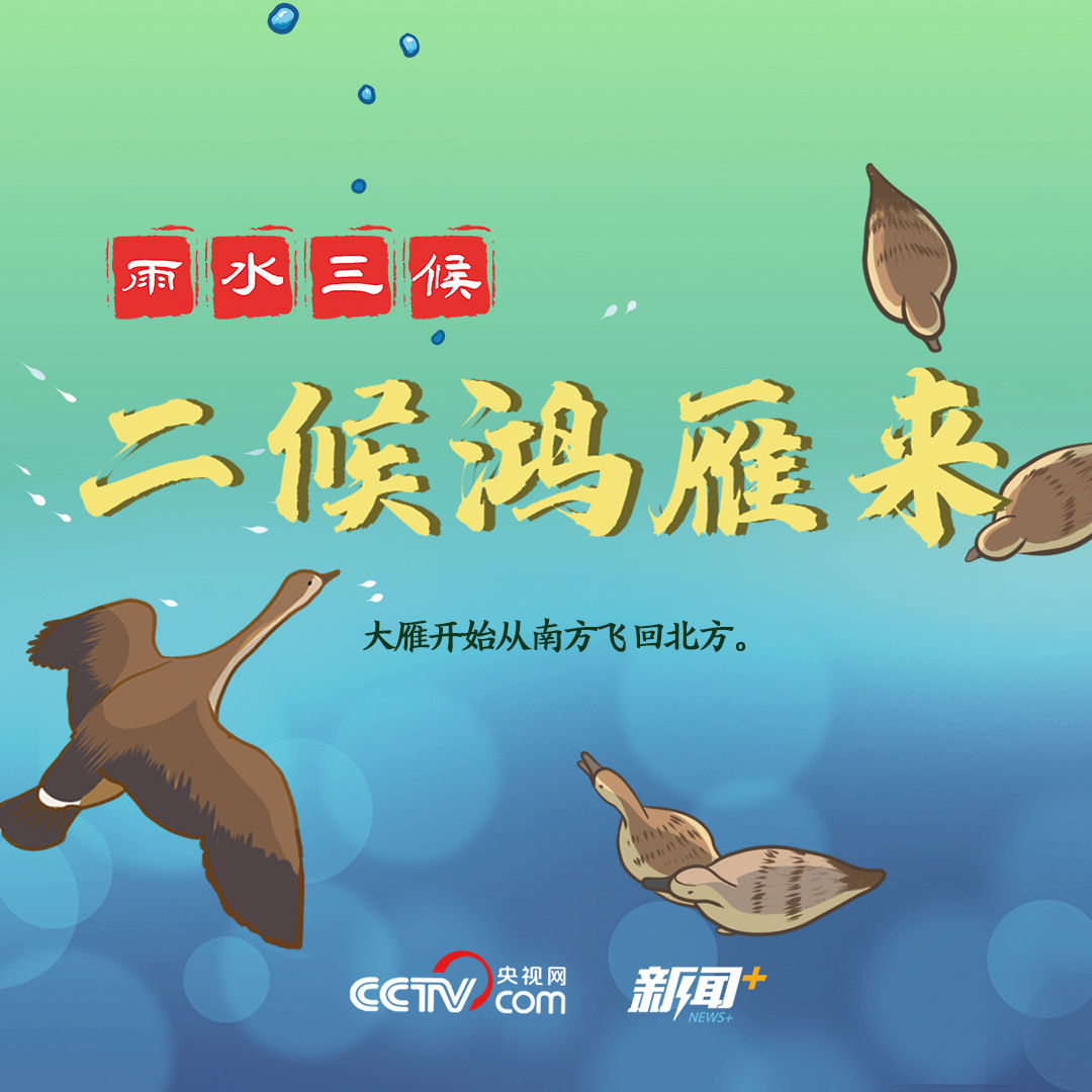 雨水|【二十四节气那些事儿】寻找雨水节气的硬核知识点