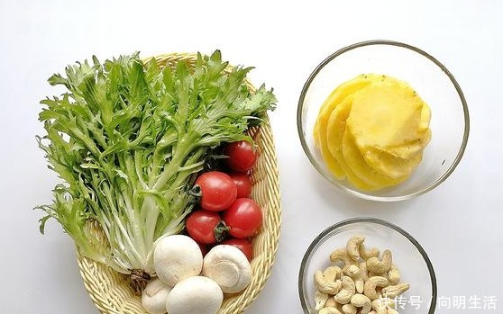 营养库|天然“营养库”苦菊新做法,低脂低热量,简单一拌就上桌!