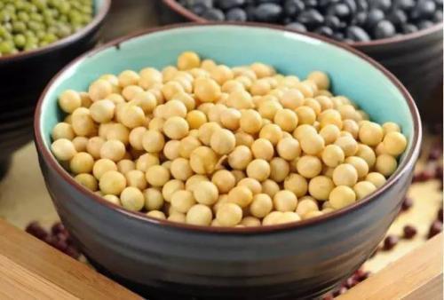 在家自制“肥水”,给花浇点,叶子不黄呼呼开花!