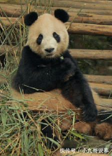 |10个幽默小笑话,开心一笑!