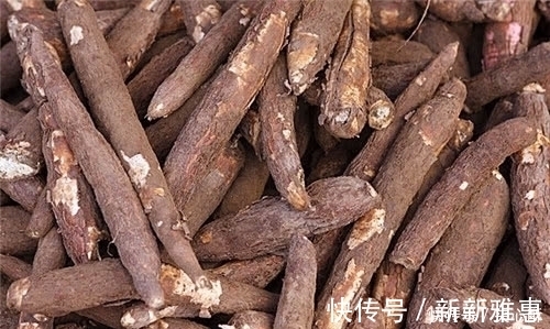 淀粉|此高营养的植物却含有毒素,美国人从不碰,大家却常吃
