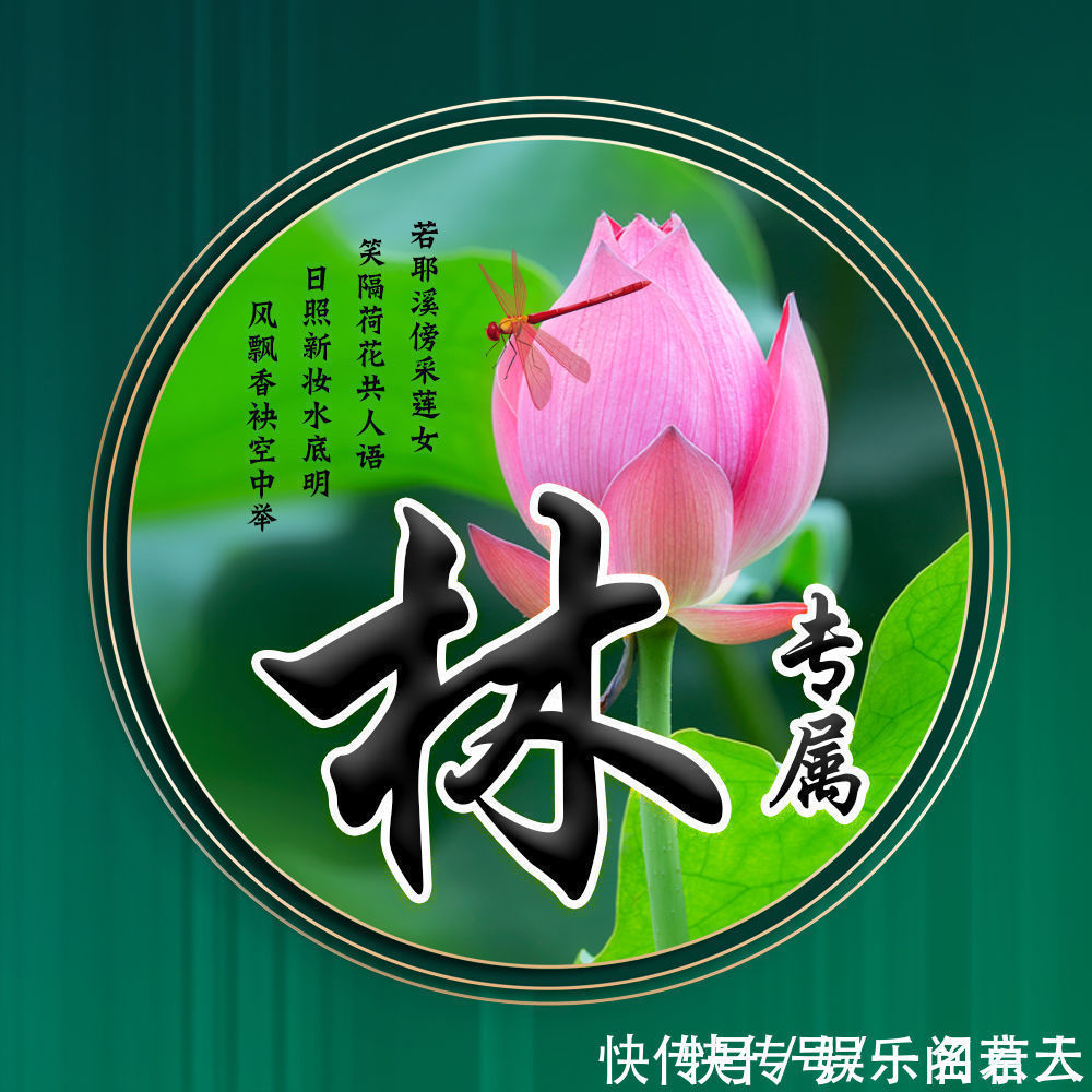 世人大!用你的姓氏当头像,20张唯美荷花大气图片,中国风华丽登场