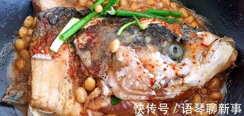 鱼头|广东一水库里的鱼集体“瘦成长条”,钓鱼人:幸好被我钓起来了