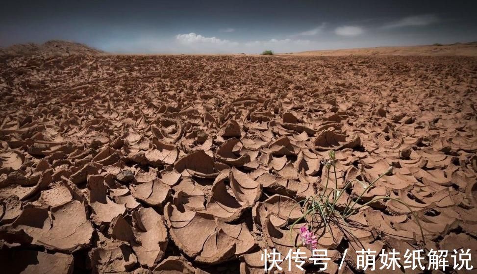 沙子|为什么沙漠很缺水，但遇上连降24小时骤雨，却没人开心呢？