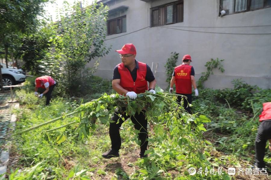 志愿|滨城区志愿者人数突破16万人！“志愿文化”在滨城生根发芽