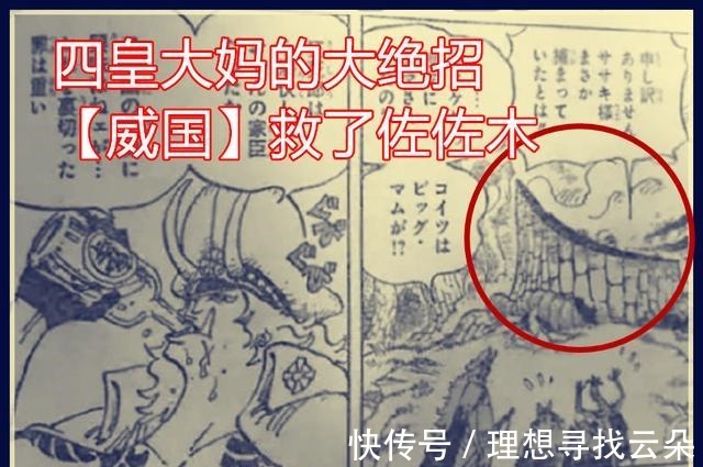 酱铺君|海贼王990话分析德雷克被克比告知路飞很厉害，德雷克我想活下去