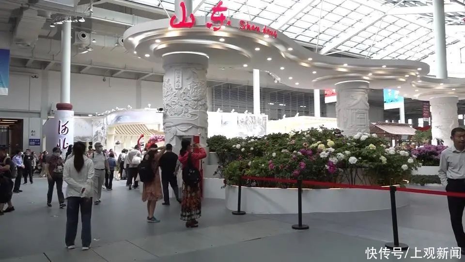 牡丹花 菏泽牡丹绽放花博园，色系多品类全风姿卓然