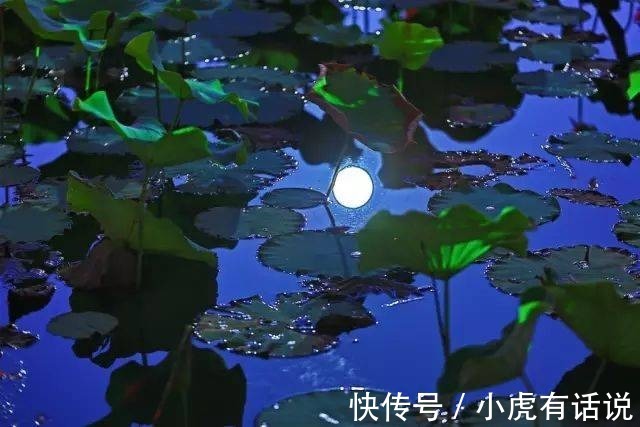 金瓶梅!《荷塘月色》为何要被删除?朱自清的文章有这么差吗?