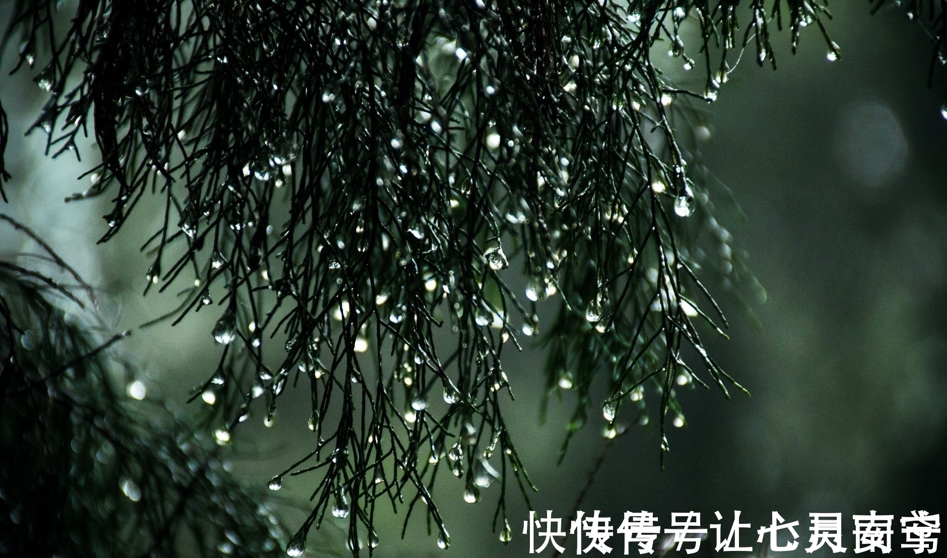 微雨#李商隐这首写雨的诗，没有一个雨字，却句句有雨