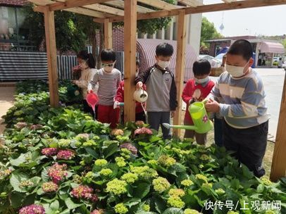 幼儿园里的精致花园 奉贤区2家幼儿园新获“上海市花园单位”荣誉称号