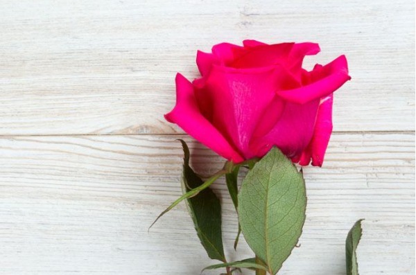 气话|俗话说病从口入祸从口出,尤其是这4句话,说了祸事不断!