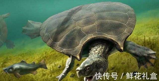 神话故事$神话中的载人巨龟被发现,长5米重6吨,《西游记》没有骗人