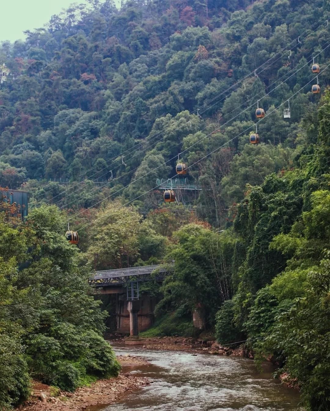 巴南博物馆|巴南居然有这么多宝藏景点，不愧是重庆周边游的好去处！