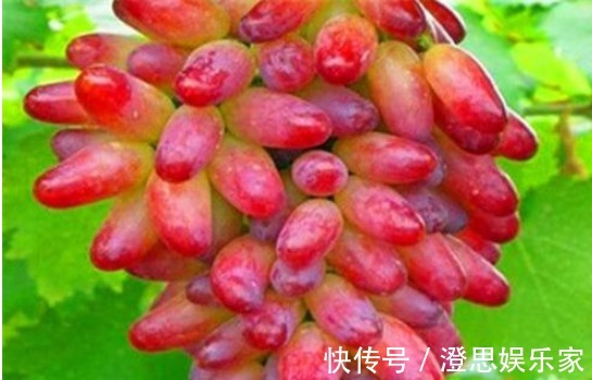 排毒养颜|女性推荐常吃4种食物,排毒养颜、滋阴补阴,清理子宫污血