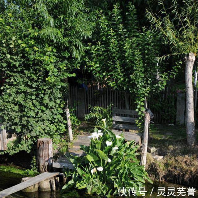 适合|大雪节气最适合给家人吃的“3红”,学起来和家人一起健康过冬