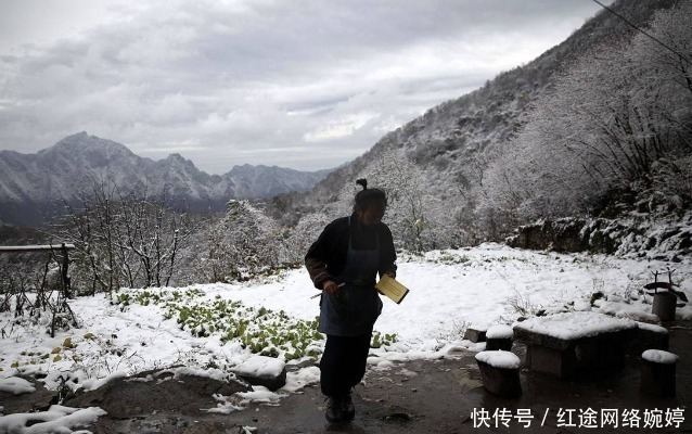 半山腰|终南山的万人隐士：归隐背后是对工作的逃避，一场大雪就暴露原形