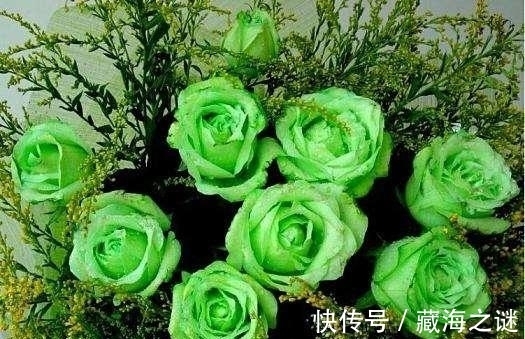 金牛|未来两周，花前月，相思重重，爱情有望复合的4大星座