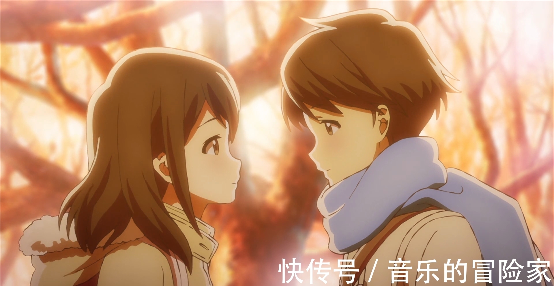 如何评价野良神中的绯