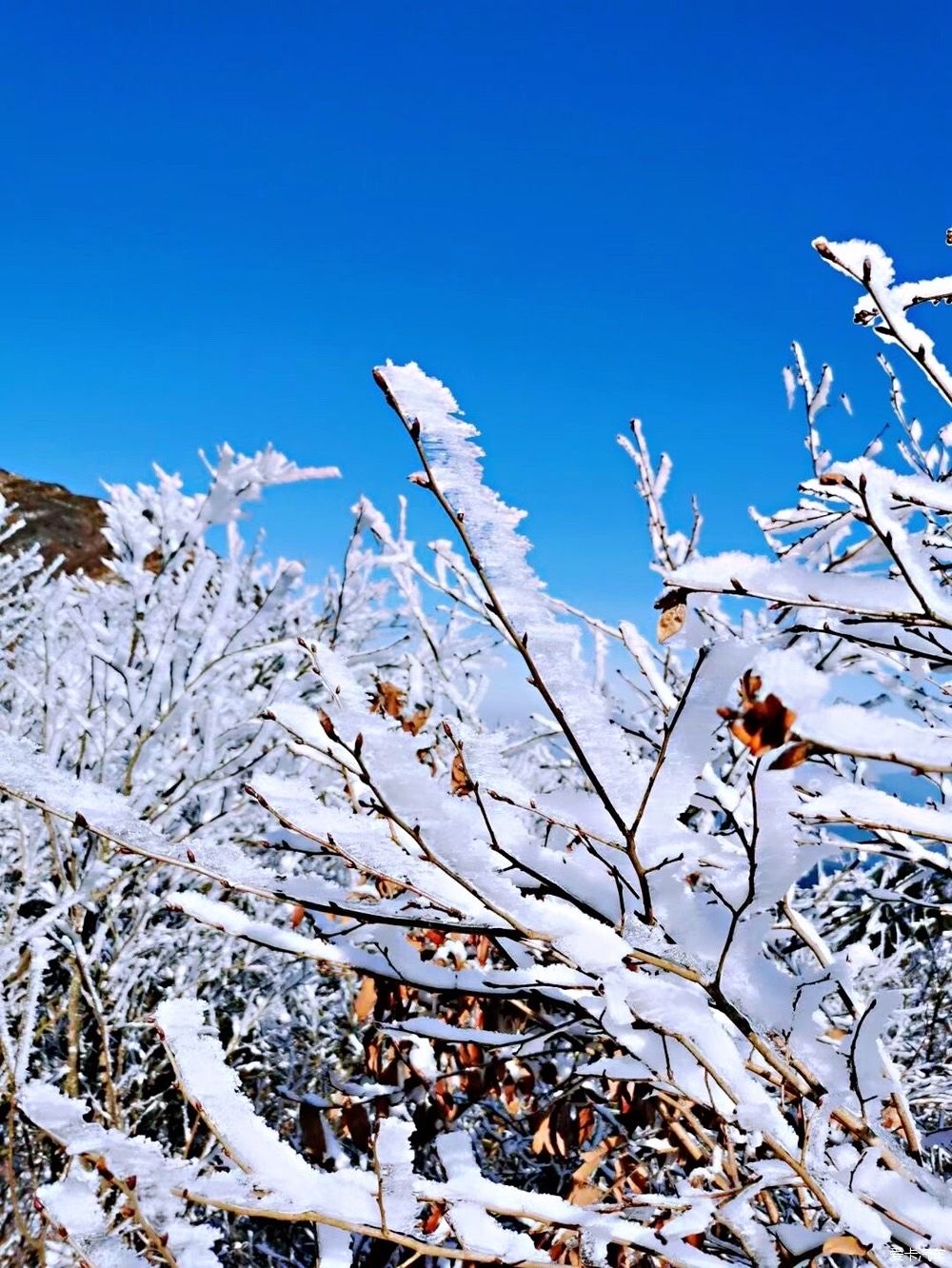 西藏|冬天的雪是上帝写给人间的诗