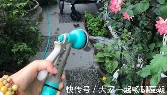 浇水|养花浇水是技术活盆栽远离5种水，植物伤亡少、花友不走弯路