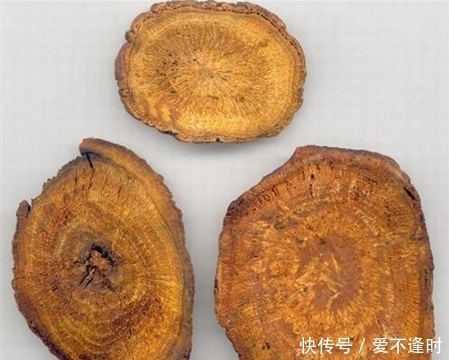 大黄|大黄的功效与作用,大黄的用法用量,大黄性味归经