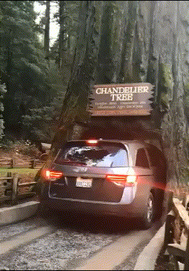 |搞笑GIF图:有这样的老婆 肯定能少活好几年