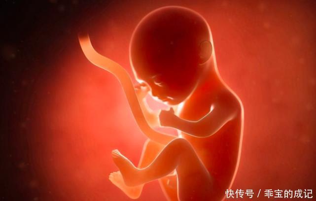 开十指|从蓝莓到西瓜,一张图带你了解顺产“开十指”,当妈真心不容易